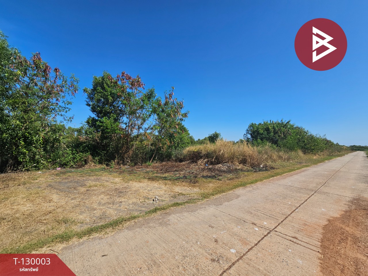 ขายที่ดินแปลงใหญ่ เนื้อที่ 148 ไร่ 2 งาน 10.3 ตร.วา บ้านโพธิ์ ฉะเชิงเทรา 2