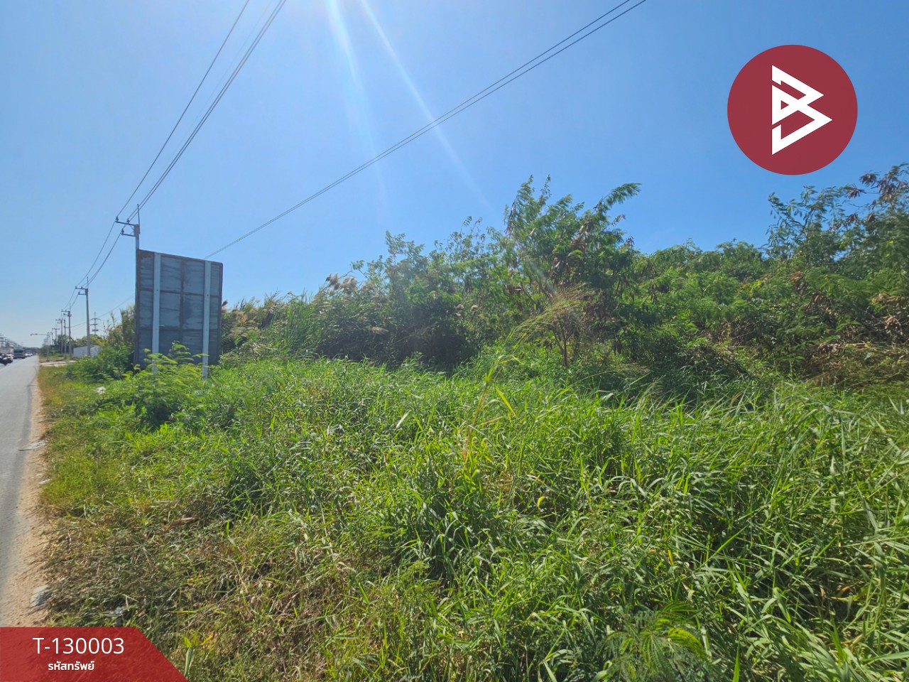 ขายที่ดินแปลงใหญ่ เนื้อที่ 148 ไร่ 2 งาน 10.3 ตร.วา บ้านโพธิ์ ฉะเชิงเทรา 4