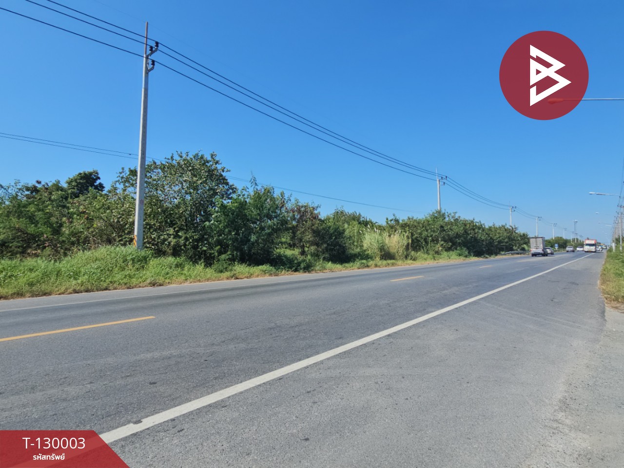 ขายที่ดินแปลงใหญ่ เนื้อที่ 148 ไร่ 2 งาน 10.3 ตร.วา บ้านโพธิ์ ฉะเชิงเทรา 5