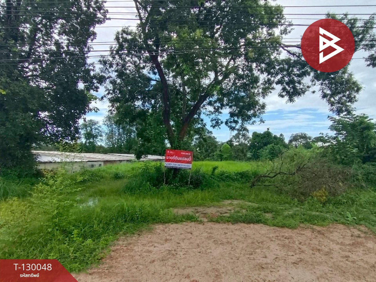 ขายที่ดิน เนื้อที่ 3 งาน 63.9 ตร.วา ท่าใหม่ จันทบุรี 5