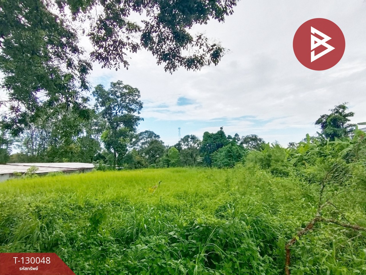 ขายที่ดิน เนื้อที่ 3 งาน 63.9 ตร.วา ท่าใหม่ จันทบุรี 11