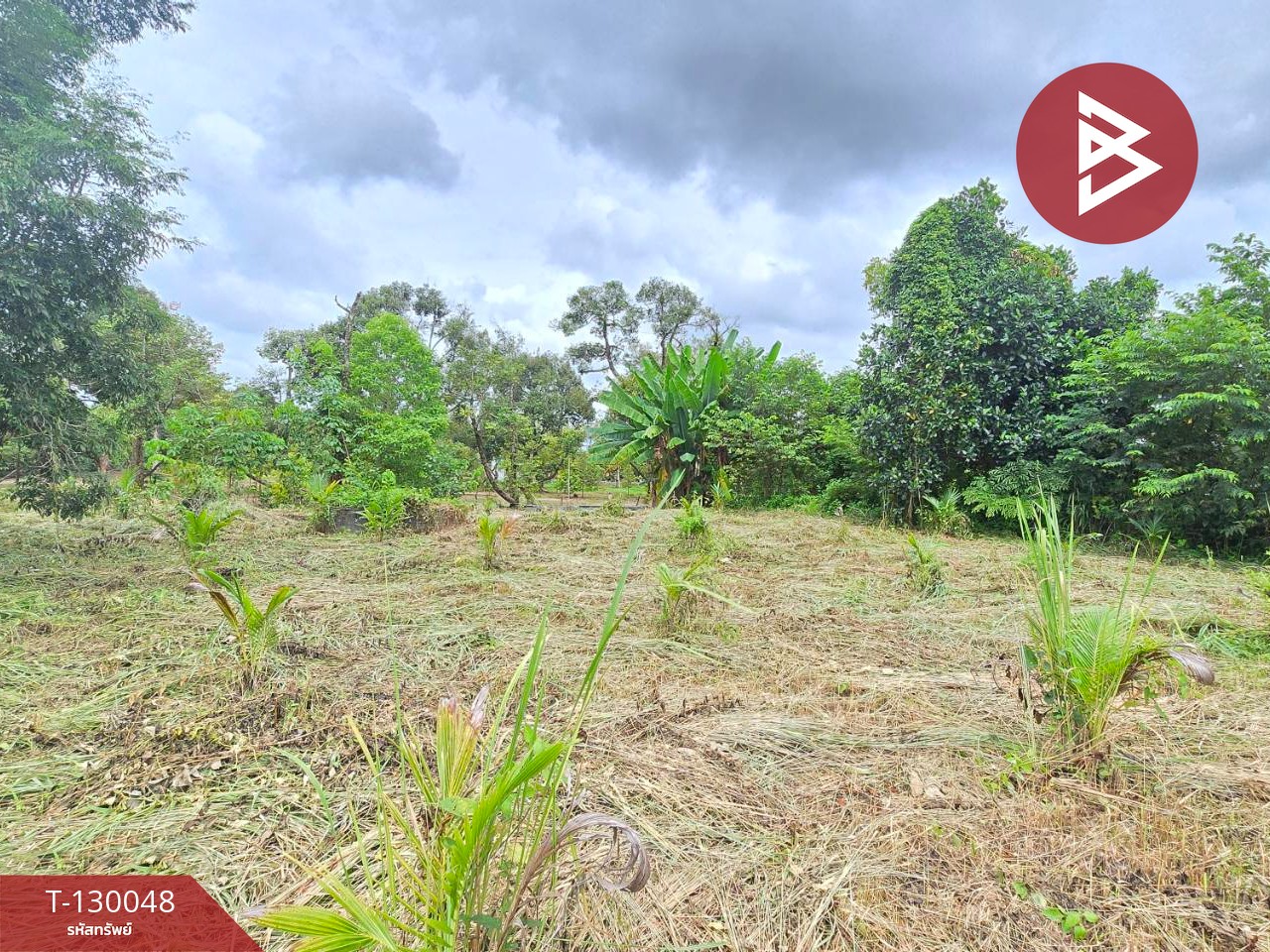 ขายที่ดิน เนื้อที่ 3 งาน 63.9 ตร.วา ท่าใหม่ จันทบุรี 2