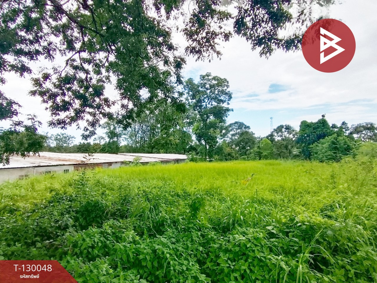 ขายที่ดิน เนื้อที่ 3 งาน 63.9 ตร.วา ท่าใหม่ จันทบุรี 12