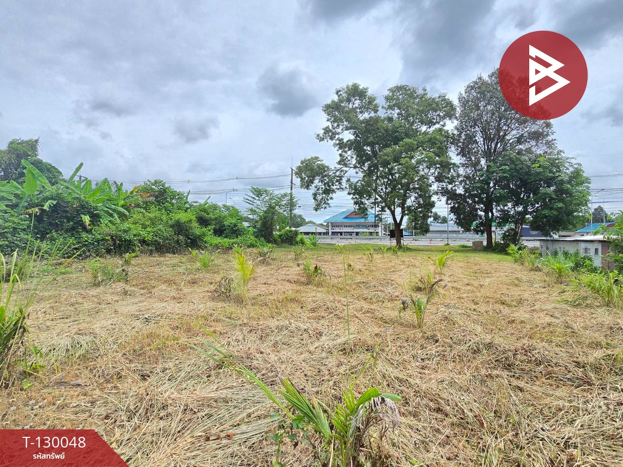 ขายที่ดิน เนื้อที่ 3 งาน 63.9 ตร.วา ท่าใหม่ จันทบุรี 3