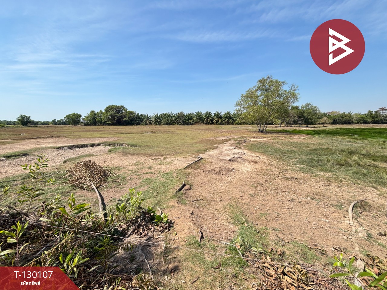 ขายที่ดิน เนื้อที่ 3 ไร่ 71 ตารางวา แกลง ระยอง ทำเลดี 1