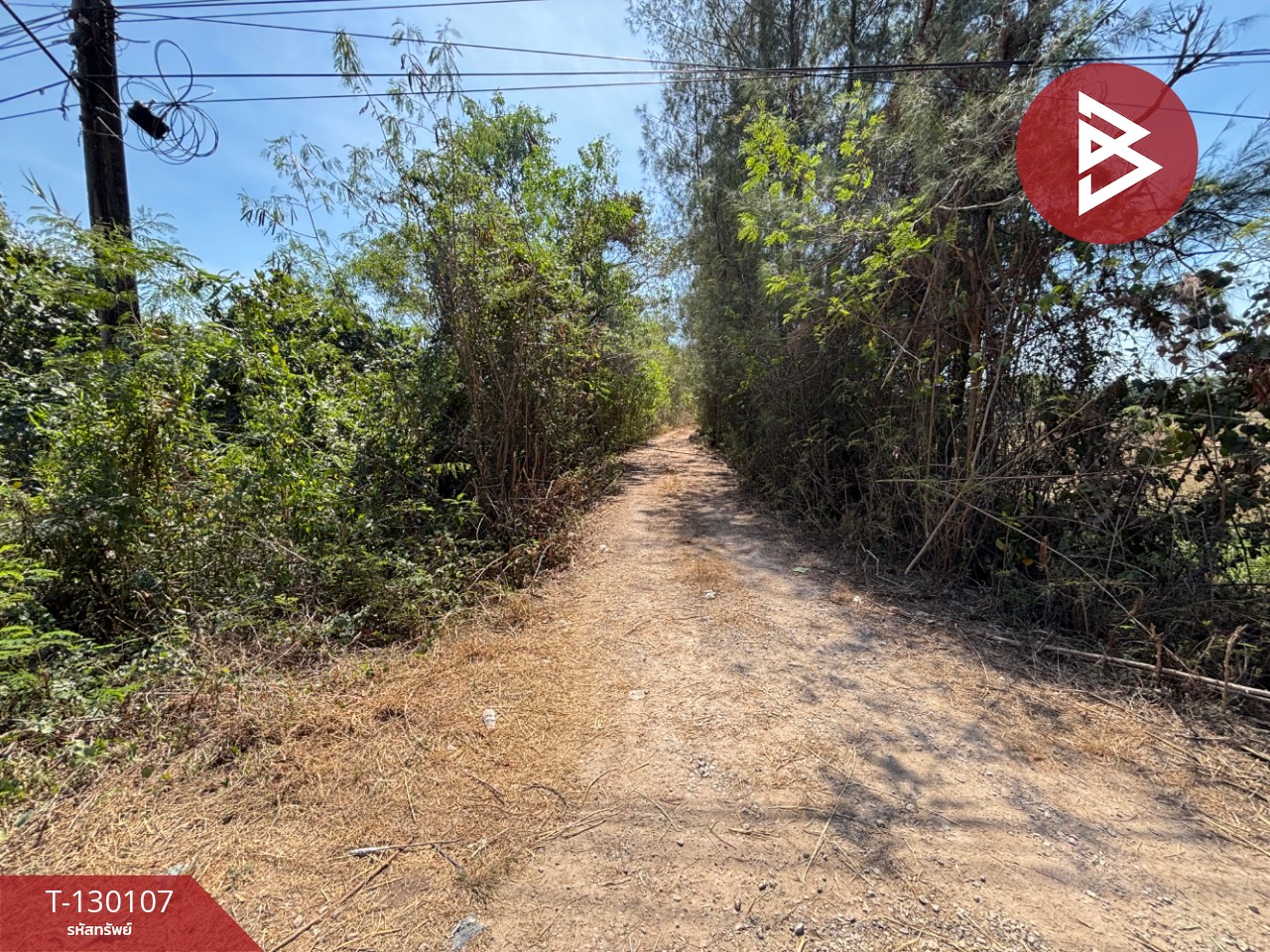 ขายที่ดิน เนื้อที่ 3 ไร่ 71 ตารางวา แกลง ระยอง ทำเลดี 3