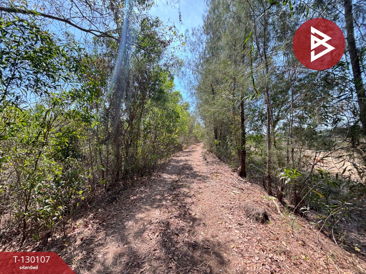 ขายที่ดิน เนื้อที่ 3 ไร่ 71 ตารางวา แกลง ระยอง ทำเลดี 5