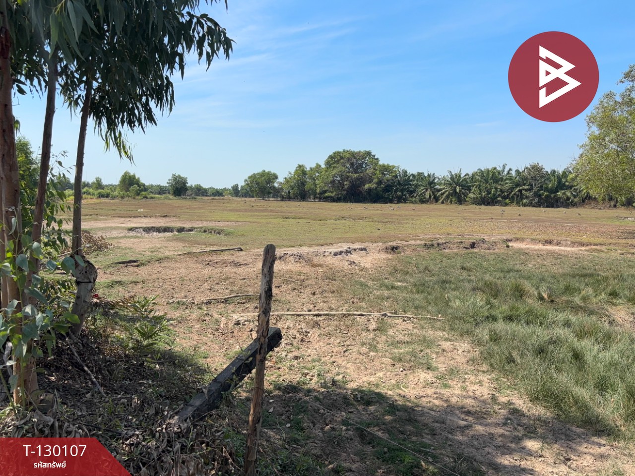 ขายที่ดิน เนื้อที่ 3 ไร่ 71 ตารางวา แกลง ระยอง ทำเลดี 2