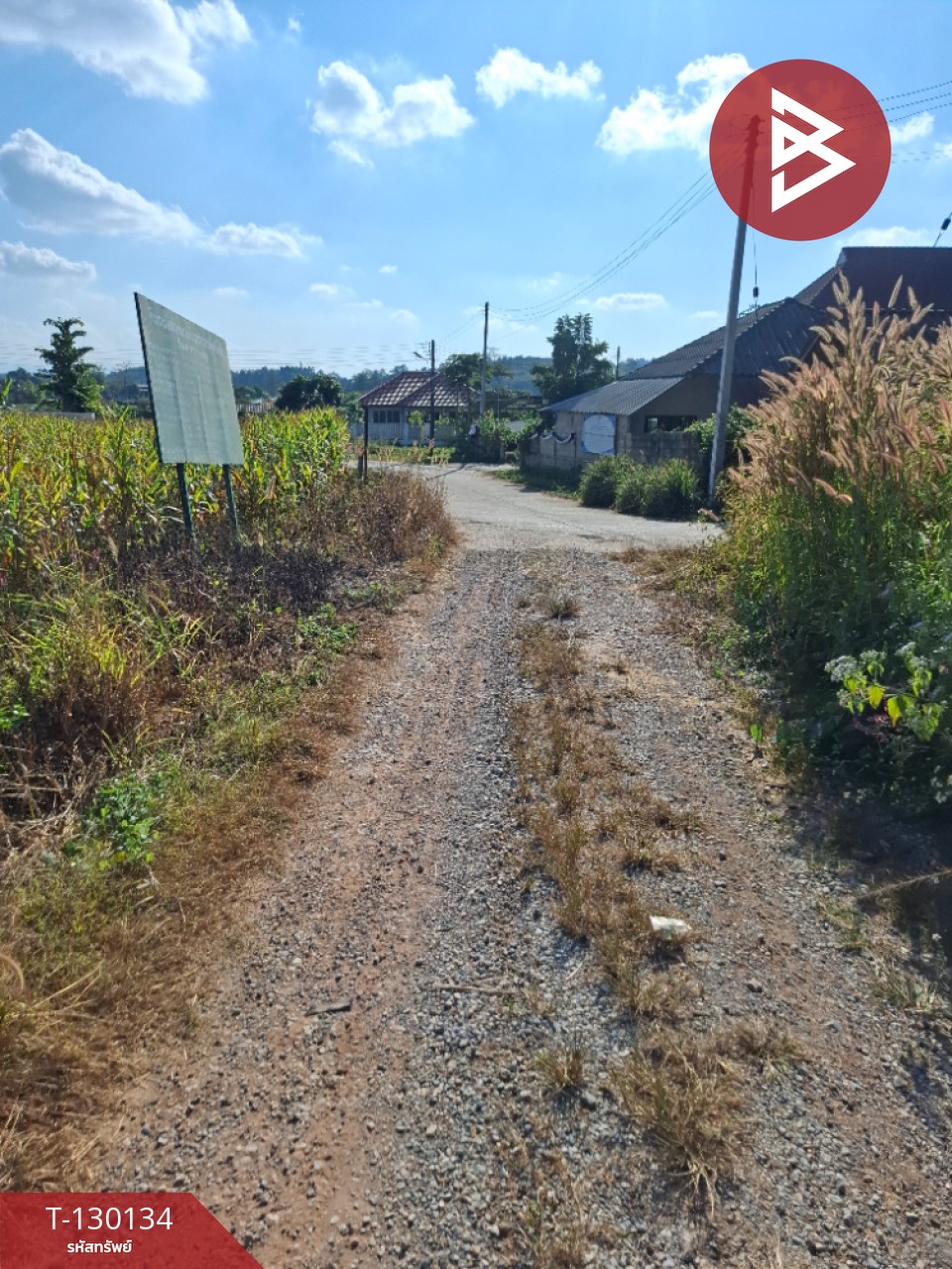 ขายที่ดิน เนื้อที่ 1 ไร่ 3 งาน 13 ตารางวา อ.แม่ลาว เชียงราย 5