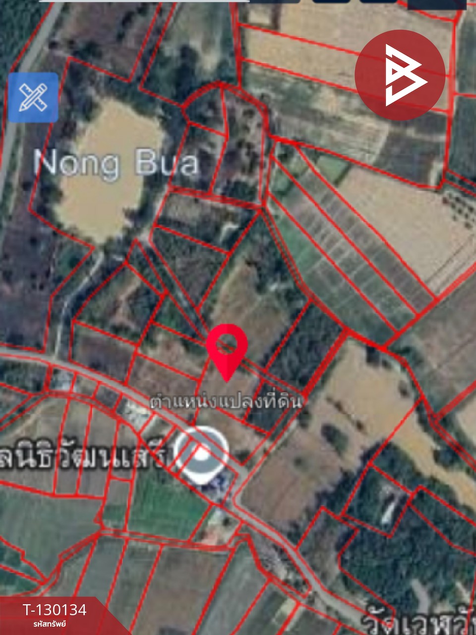 ขายที่ดิน เนื้อที่ 1 ไร่ 3 งาน 13 ตารางวา อ.แม่ลาว เชียงราย 13