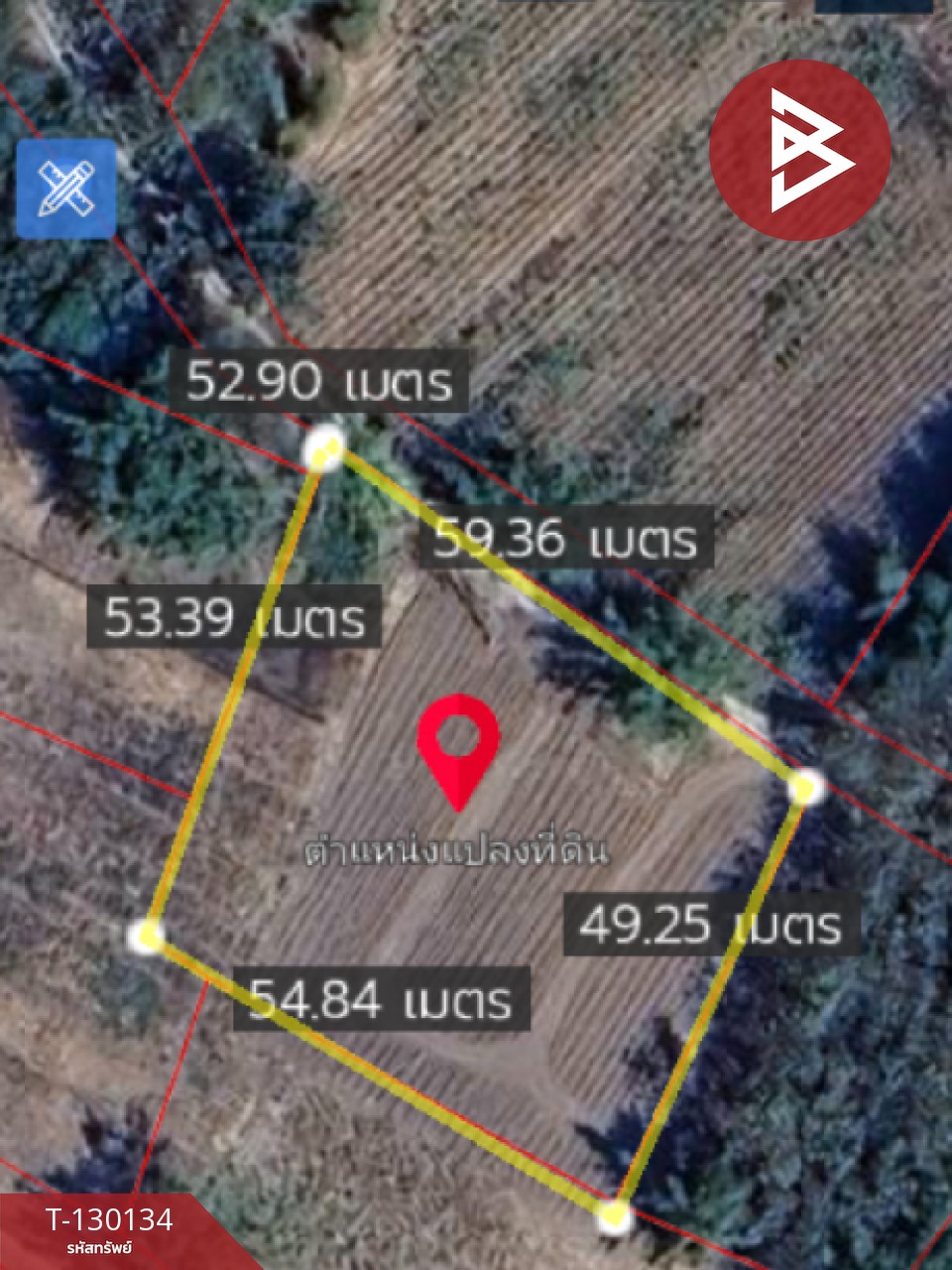 ขายที่ดิน เนื้อที่ 1 ไร่ 3 งาน 13 ตารางวา อ.แม่ลาว เชียงราย 15