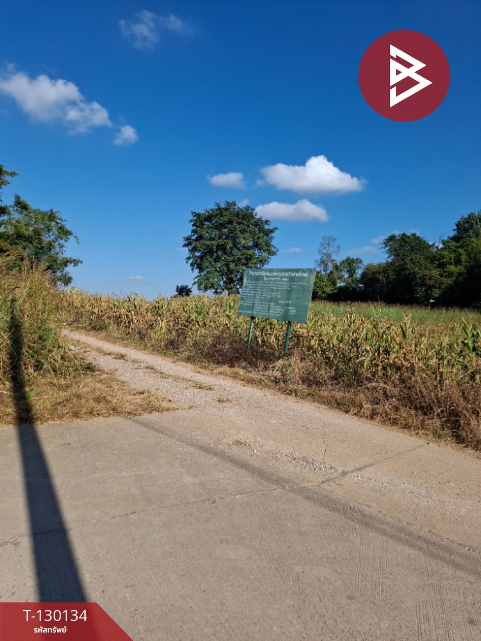 ขายที่ดิน เนื้อที่ 1 ไร่ 3 งาน 13 ตารางวา อ.แม่ลาว เชียงราย 4