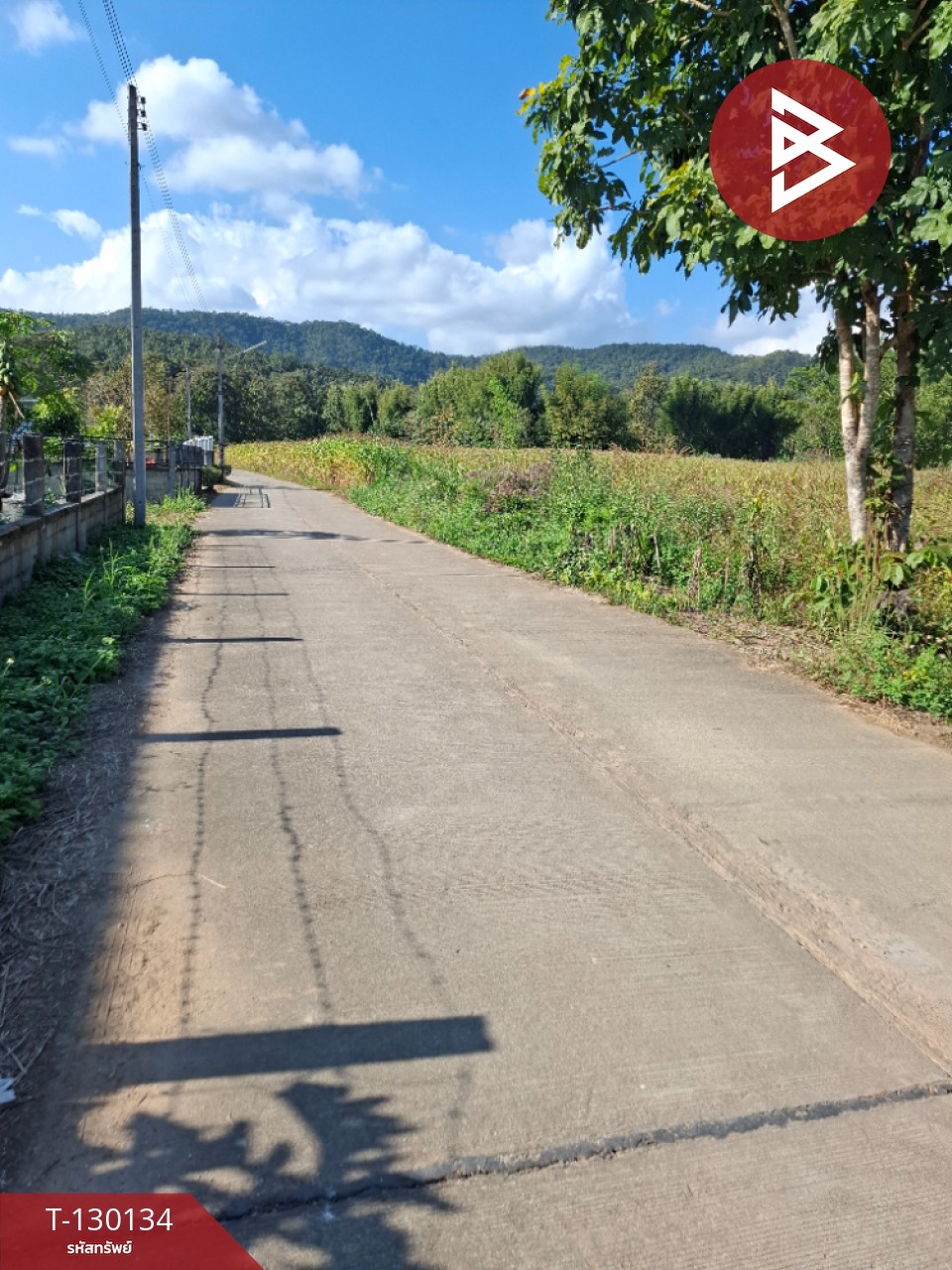 ขายที่ดิน เนื้อที่ 1 ไร่ 3 งาน 13 ตารางวา อ.แม่ลาว เชียงราย 7