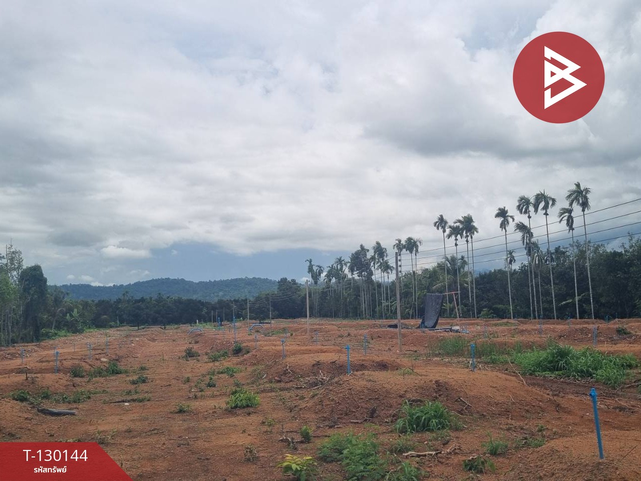 ขายที่ดินพร้อมทำสวน เนื้อที่ 8 ไร่ 2 งาน 65 ตร.วา มะขาม จันทบุรี 3