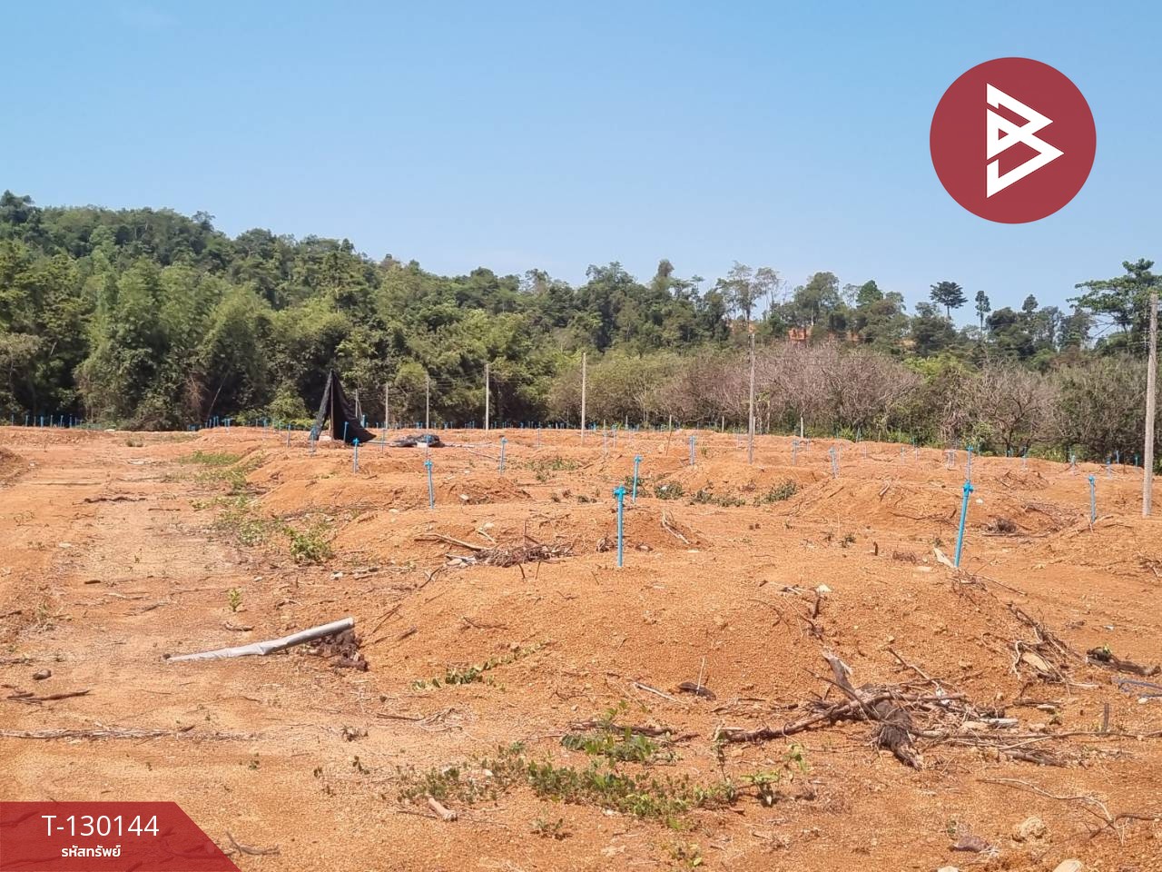 ขายที่ดินพร้อมทำสวน เนื้อที่ 8 ไร่ 2 งาน 65 ตร.วา มะขาม จันทบุรี 4