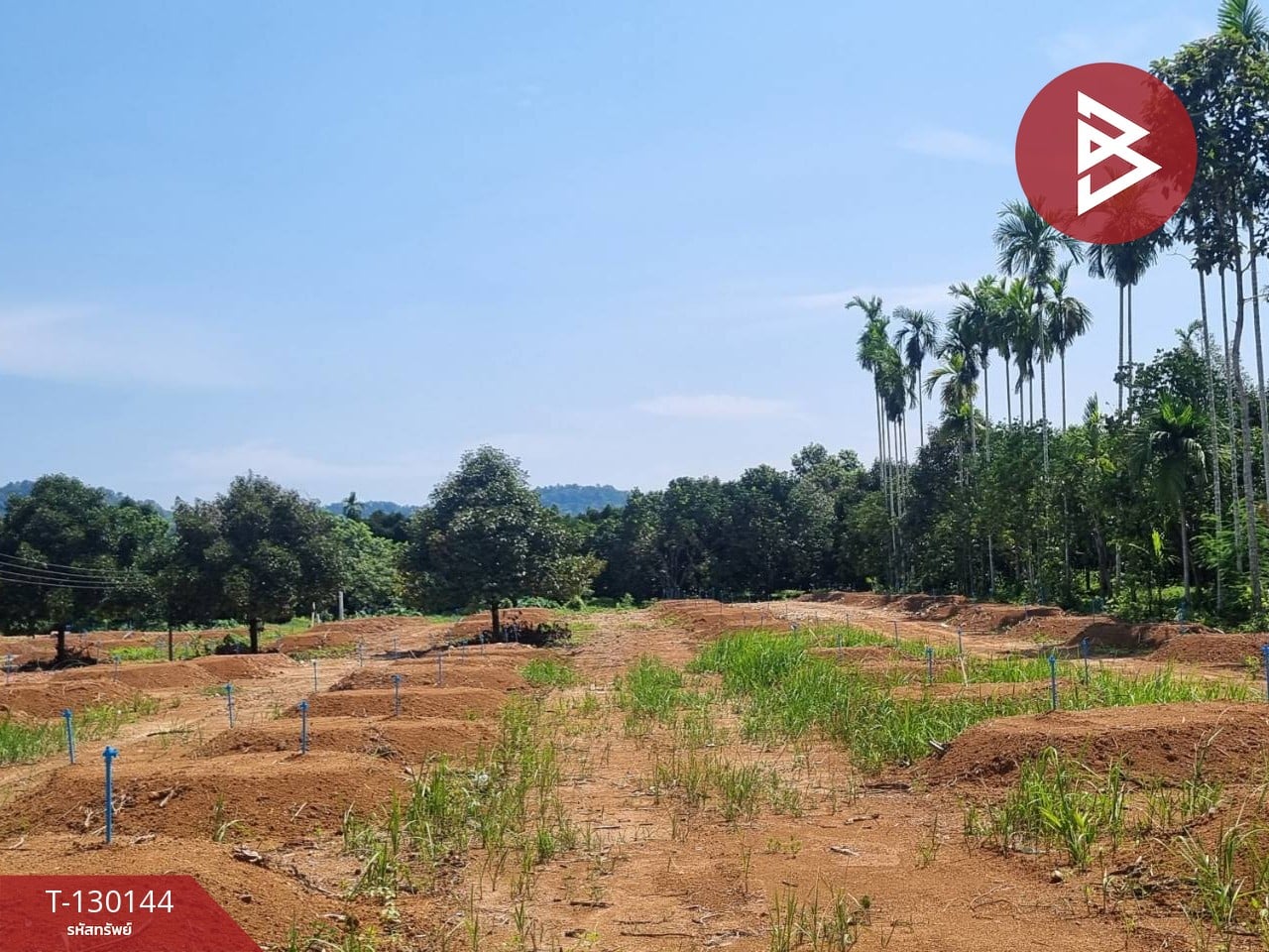 ขายที่ดินพร้อมทำสวน เนื้อที่ 8 ไร่ 2 งาน 65 ตร.วา มะขาม จันทบุรี 1