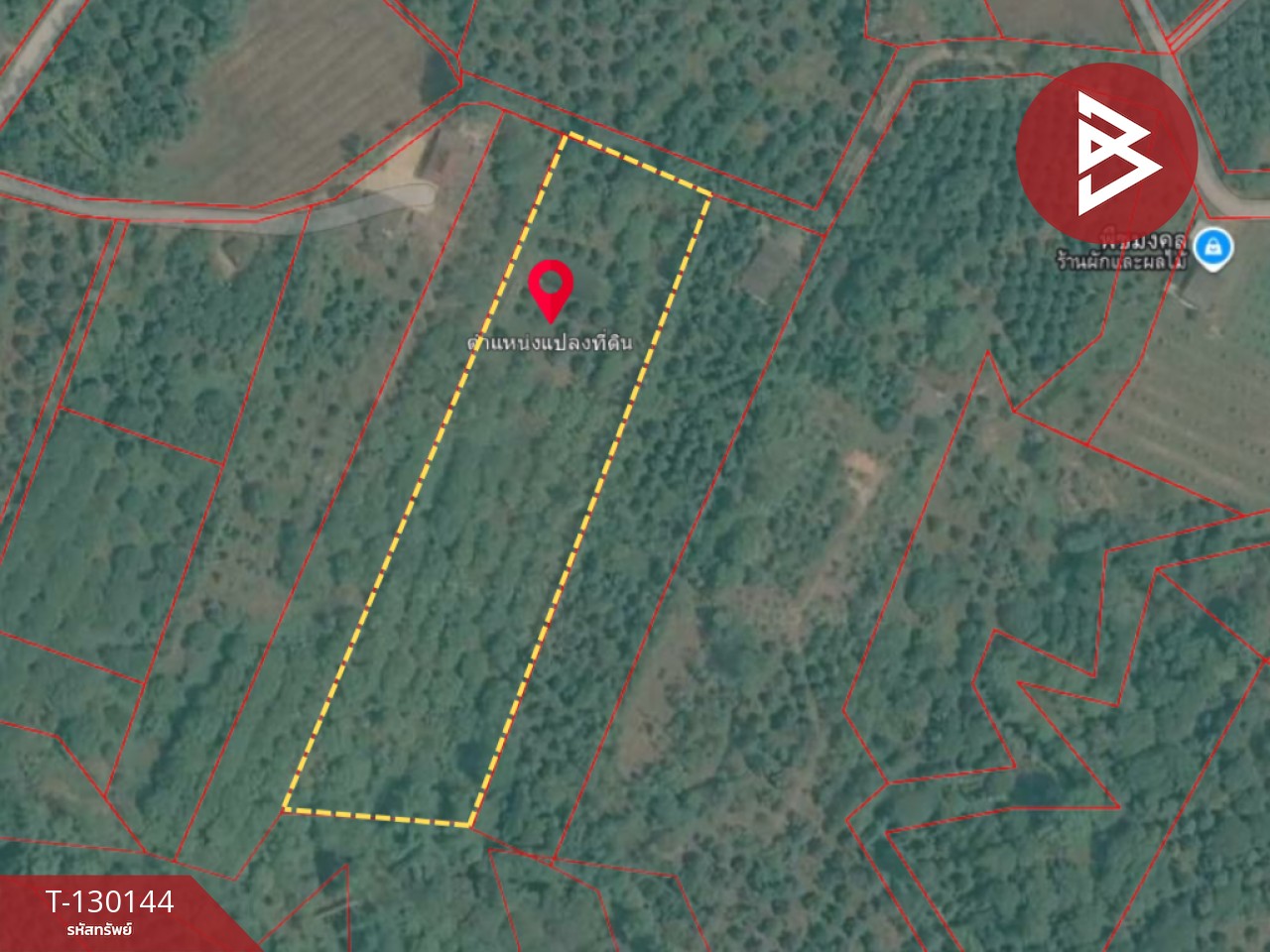 ขายที่ดินพร้อมทำสวน เนื้อที่ 8 ไร่ 2 งาน 65 ตร.วา มะขาม จันทบุรี 7