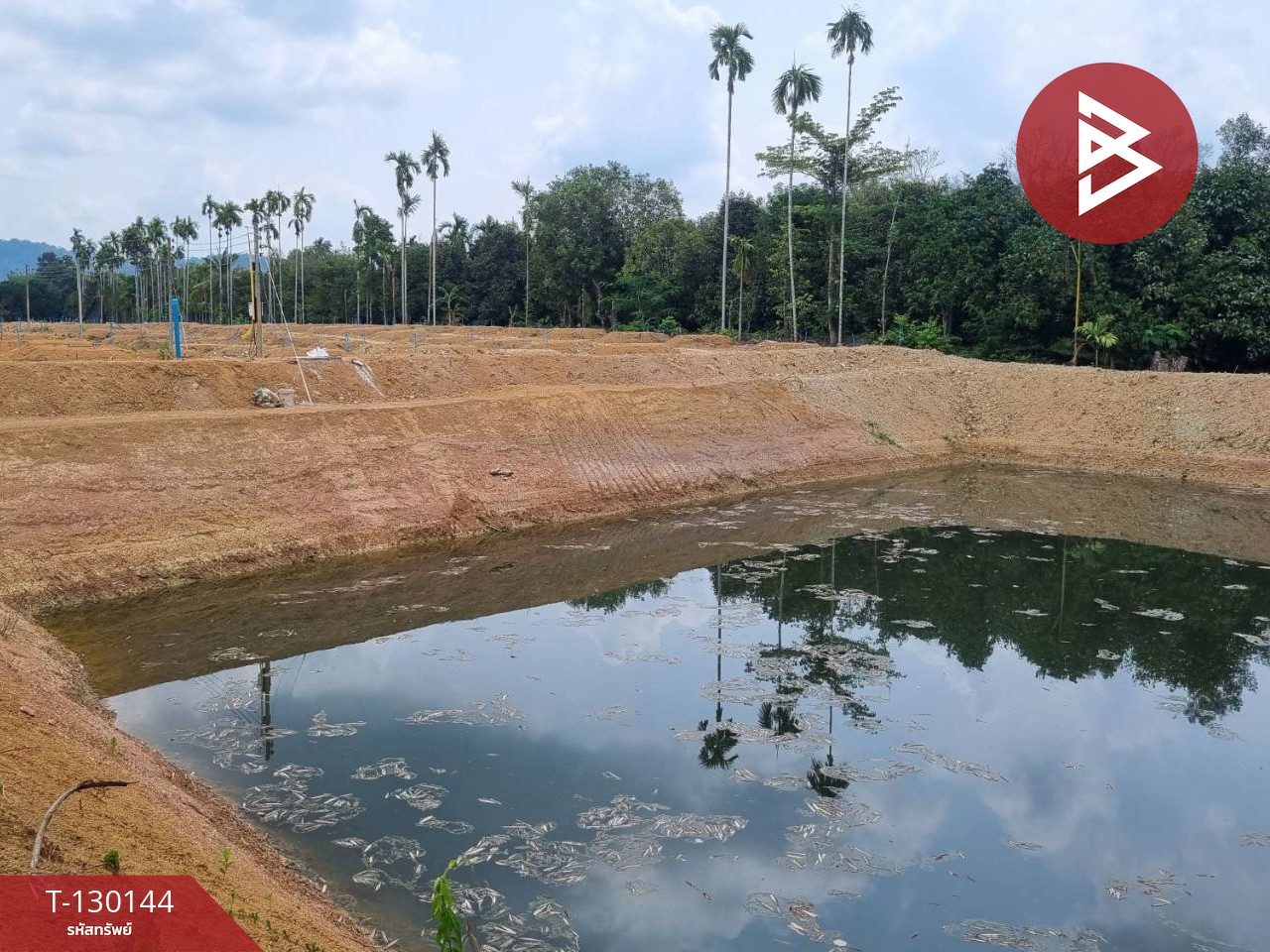 ขายที่ดินพร้อมทำสวน เนื้อที่ 8 ไร่ 2 งาน 65 ตร.วา มะขาม จันทบุรี 6