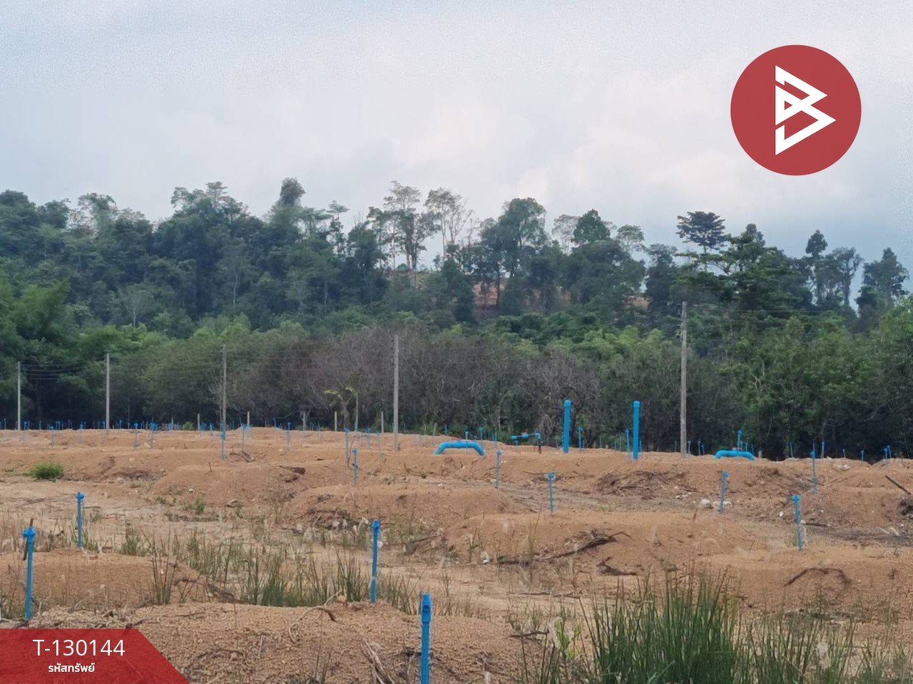 ขายที่ดินพร้อมทำสวน เนื้อที่ 8 ไร่ 2 งาน 65 ตร.วา มะขาม จันทบุรี 2