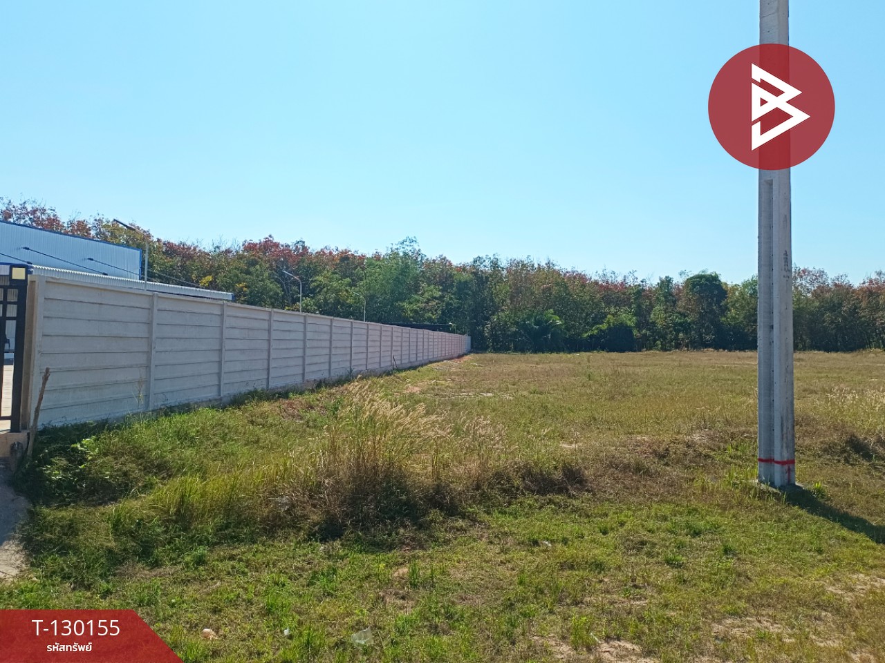 ขายที่ดิน เนื้อที่ 2 ไร่ 1 งาน 45 ตร.วา วิศิษฐ์ บึงกาฬ 1