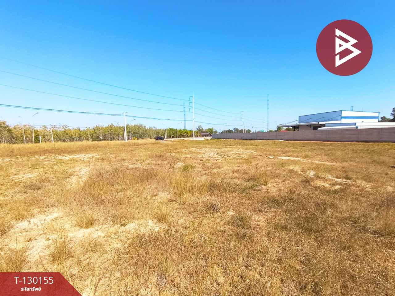 ขายที่ดิน เนื้อที่ 2 ไร่ 1 งาน 45 ตร.วา วิศิษฐ์ บึงกาฬ 4