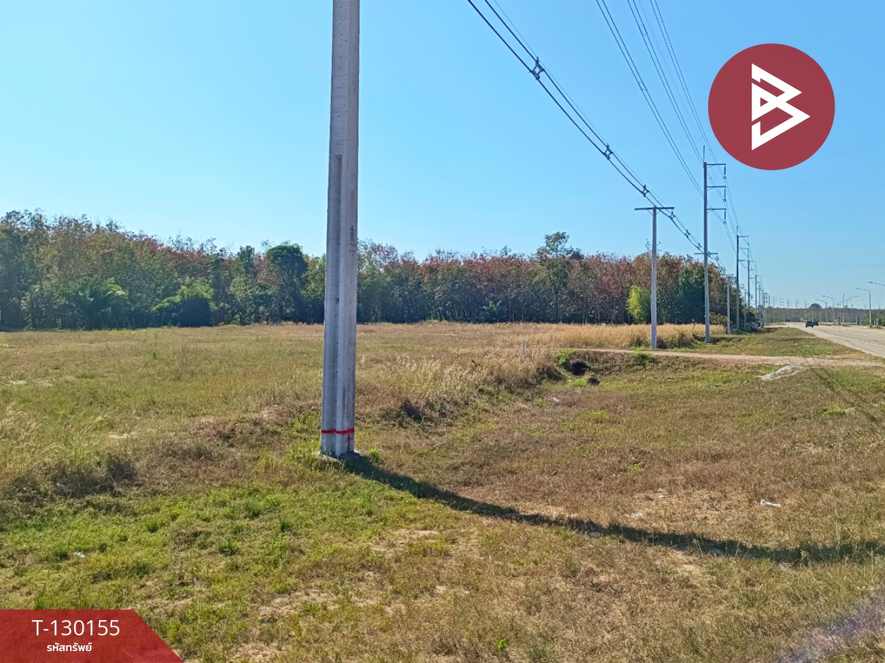 ขายที่ดิน เนื้อที่ 2 ไร่ 1 งาน 45 ตร.วา วิศิษฐ์ บึงกาฬ 2