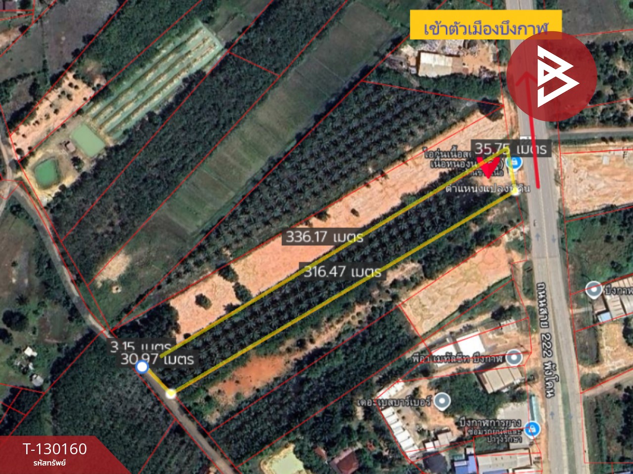 ขายที่ดินพร้อมสวน เนื้อที่ 7 ไร่ 3 งาน 26.9 ตร.วา วิศิษฐ์ บึงกาฬ 11