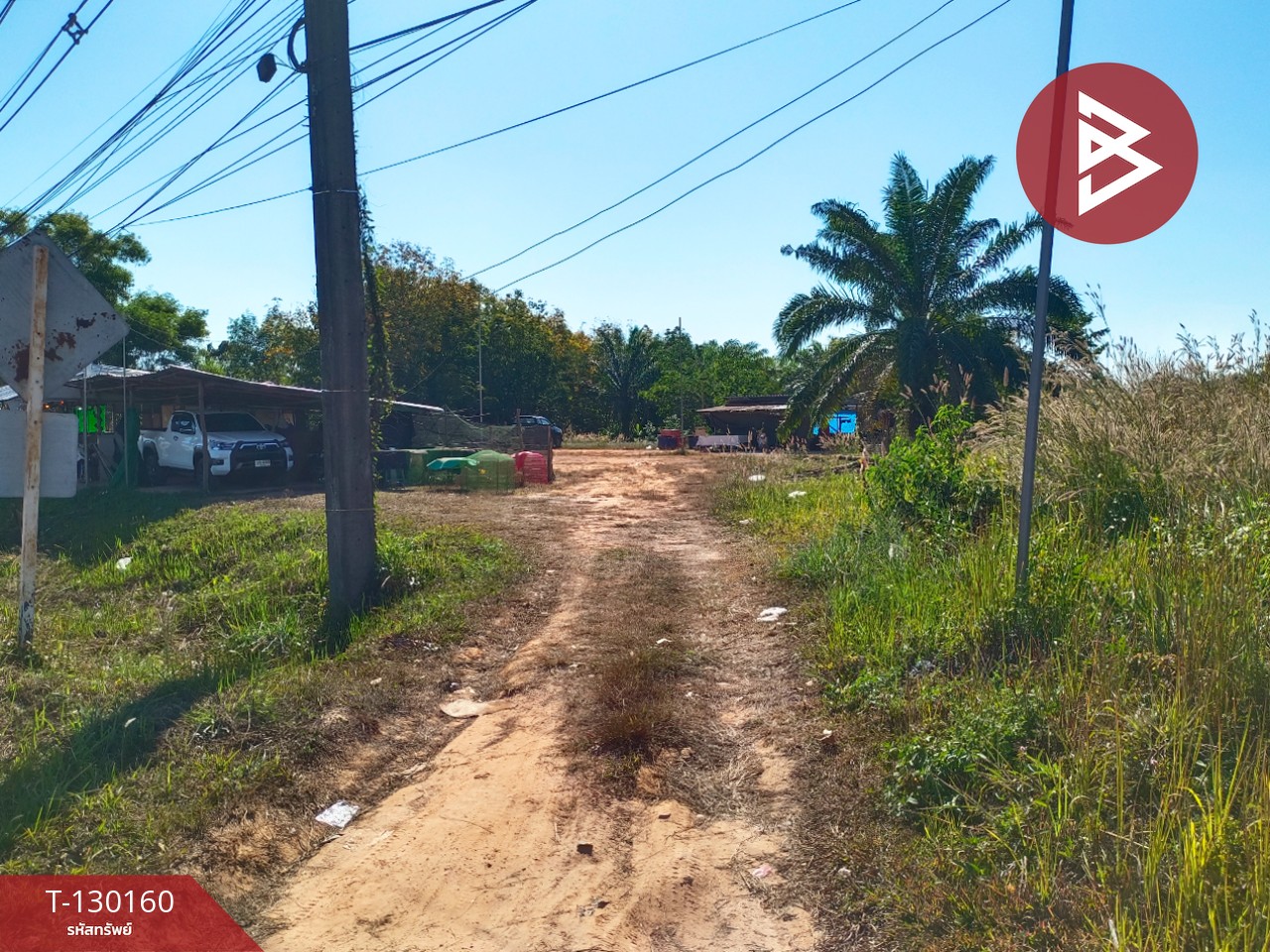 ขายที่ดินพร้อมสวน เนื้อที่ 7 ไร่ 3 งาน 26.9 ตร.วา วิศิษฐ์ บึงกาฬ 8