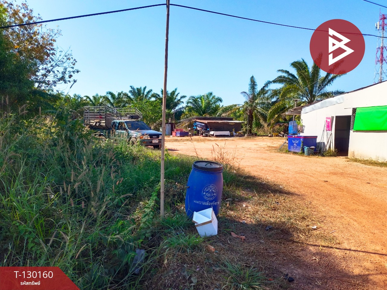 ขายที่ดินพร้อมสวน เนื้อที่ 7 ไร่ 3 งาน 26.9 ตร.วา วิศิษฐ์ บึงกาฬ 7