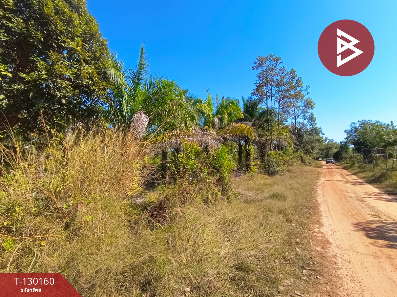 ขายที่ดินพร้อมสวน เนื้อที่ 7 ไร่ 3 งาน 26.9 ตร.วา วิศิษฐ์ บึงกาฬ 1