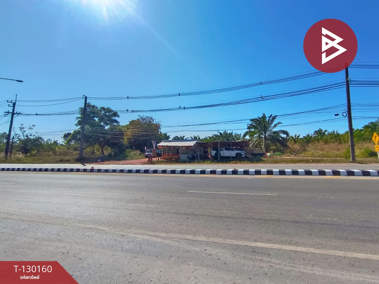 ขายที่ดินพร้อมสวน เนื้อที่ 7 ไร่ 3 งาน 26.9 ตร.วา วิศิษฐ์ บึงกาฬ 10