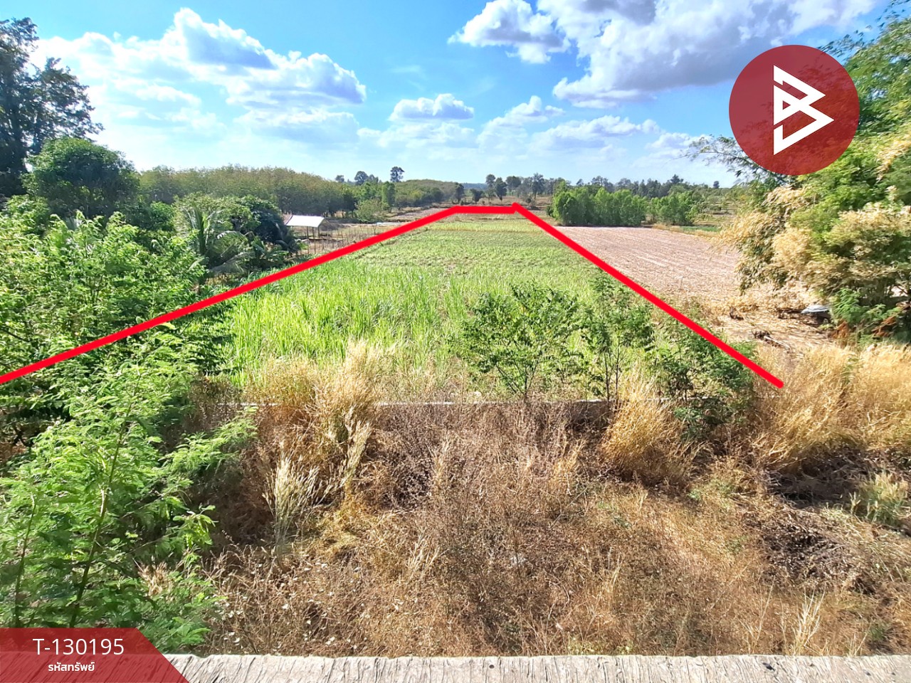 ขายที่ดินพร้อมสิ่งปลูกสร้าง เนื้อที่ 7 ไร่ 64 ตร.วา โพนทอง ร้อยเอ็ด 15