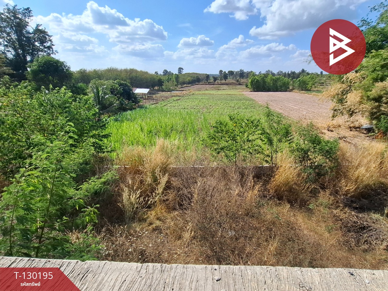 ขายที่ดินพร้อมสิ่งปลูกสร้าง เนื้อที่ 7 ไร่ 64 ตร.วา โพนทอง ร้อยเอ็ด 14