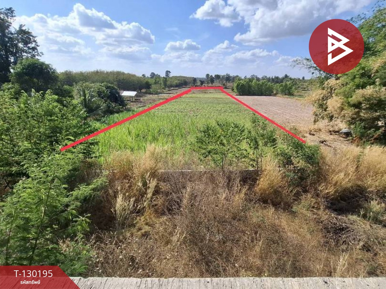 ขายที่ดินพร้อมสิ่งปลูกสร้าง เนื้อที่ 7 ไร่ 64 ตร.วา โพนทอง ร้อยเอ็ด 13