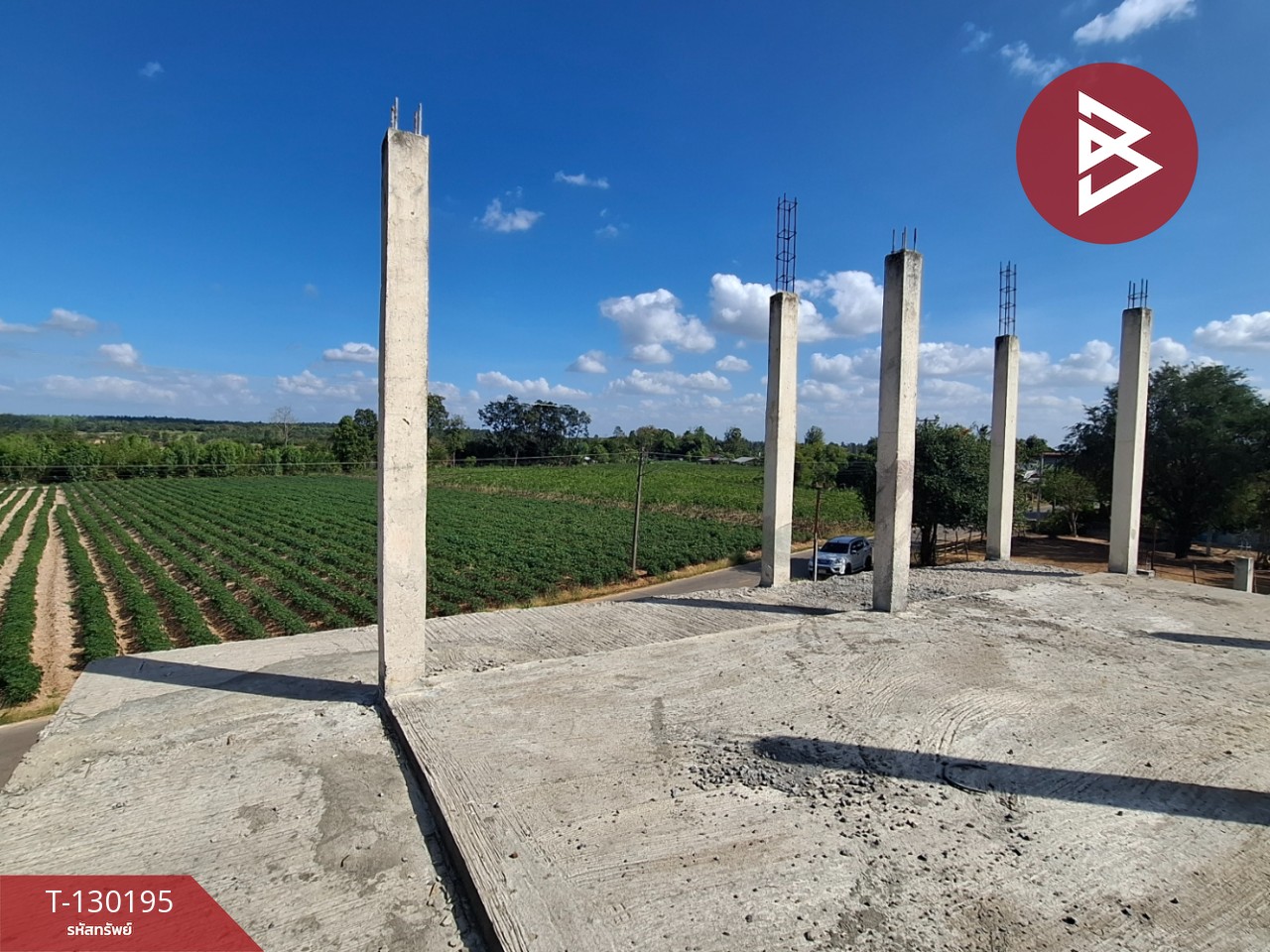 ขายที่ดินพร้อมสิ่งปลูกสร้าง เนื้อที่ 7 ไร่ 64 ตร.วา โพนทอง ร้อยเอ็ด 12