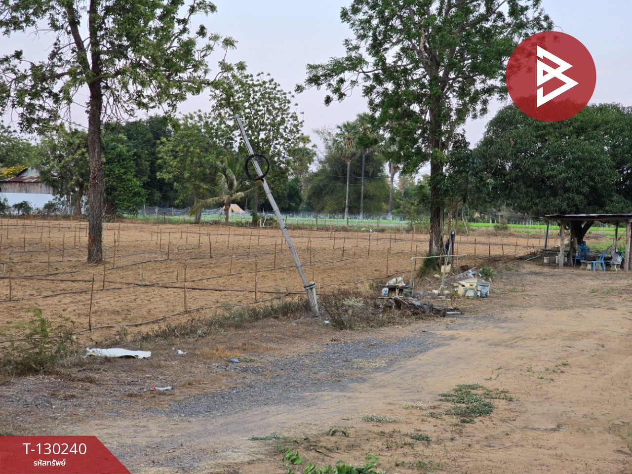 ขายที่ดิน เนื้อที่ 1 ไร่ ปราณบุรี ประจวบคีรีขันธ์ 12