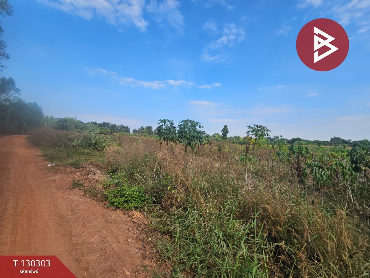 ขายที่ดิน เนื้อที่ 14 ไร่ 1 งาน 86 ตร.วา ขาณุวรลักษบุรี กำแพงเพชร 4