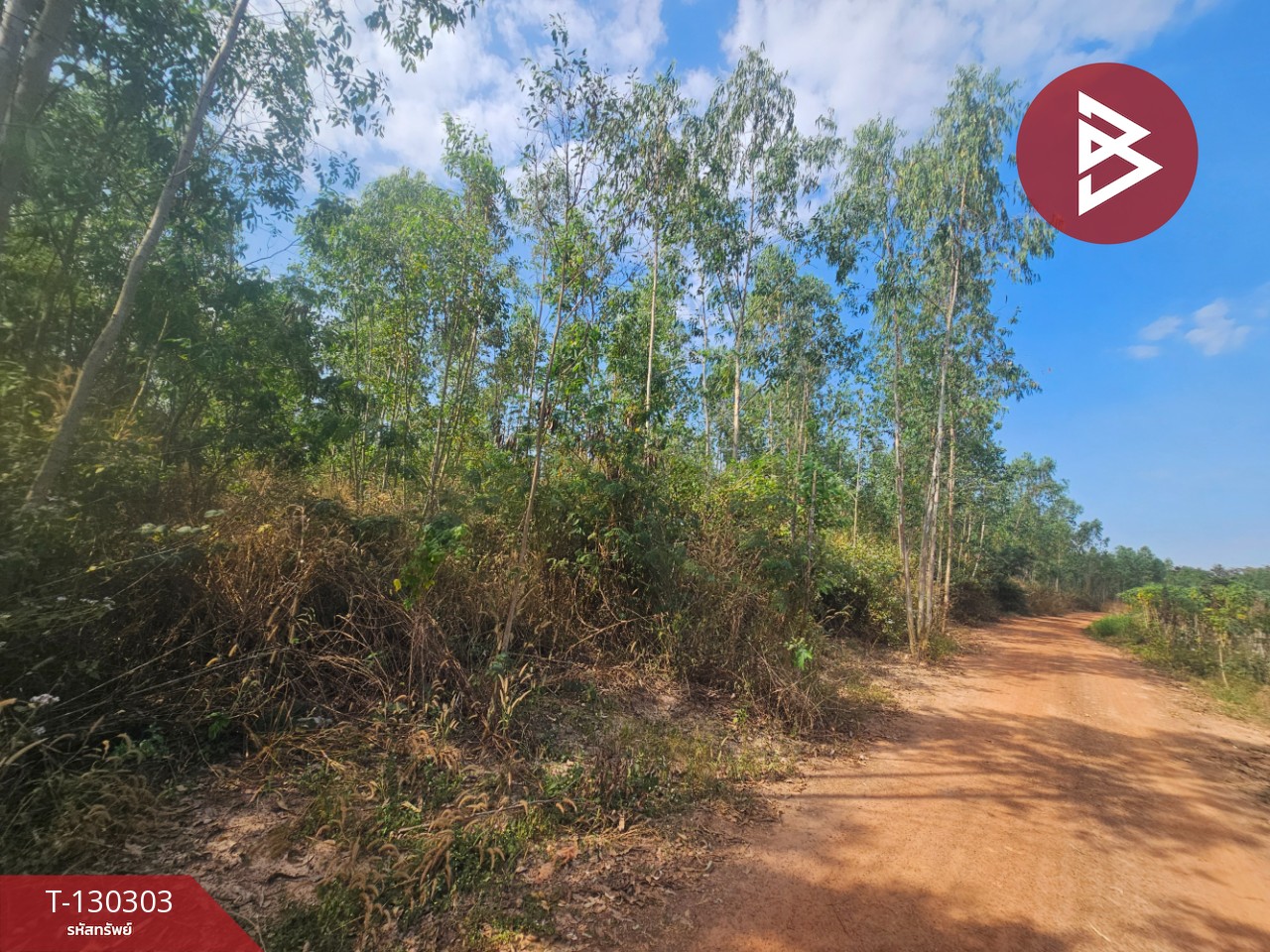 ขายที่ดิน เนื้อที่ 14 ไร่ 1 งาน 86 ตร.วา ขาณุวรลักษบุรี กำแพงเพชร 7