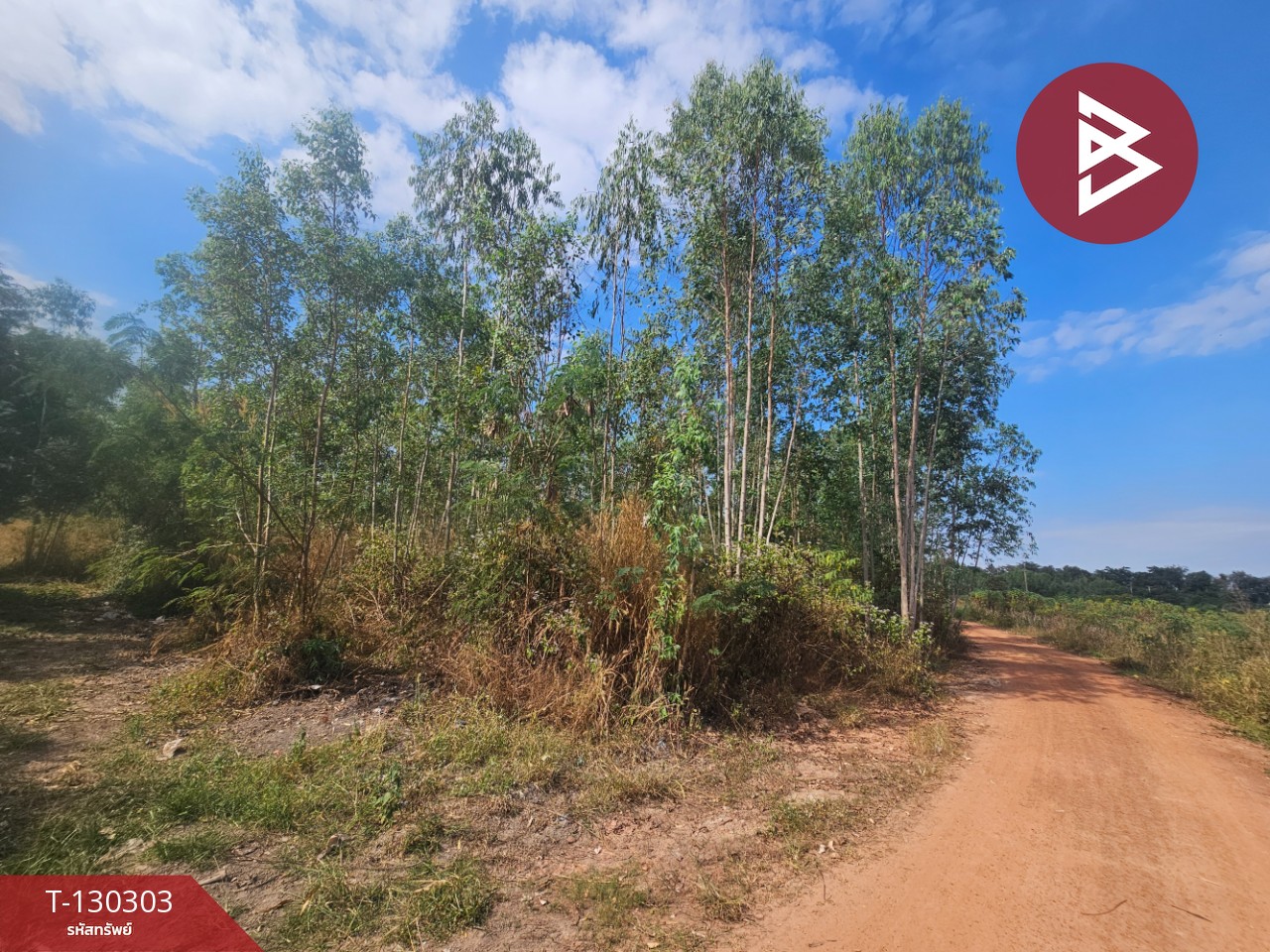 ขายที่ดิน เนื้อที่ 14 ไร่ 1 งาน 86 ตร.วา ขาณุวรลักษบุรี กำแพงเพชร 6