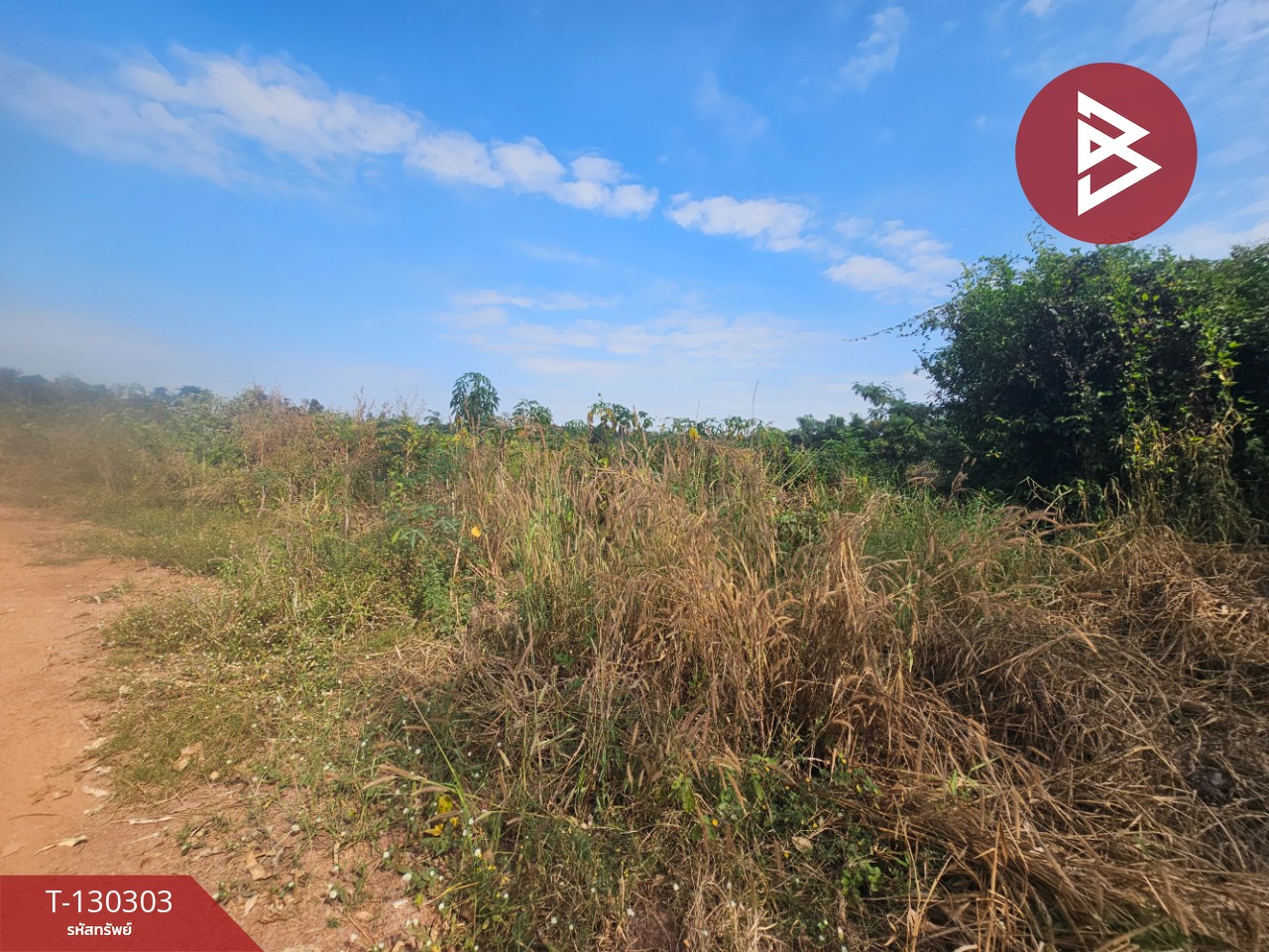 ขายที่ดิน เนื้อที่ 14 ไร่ 1 งาน 86 ตร.วา ขาณุวรลักษบุรี กำแพงเพชร 5