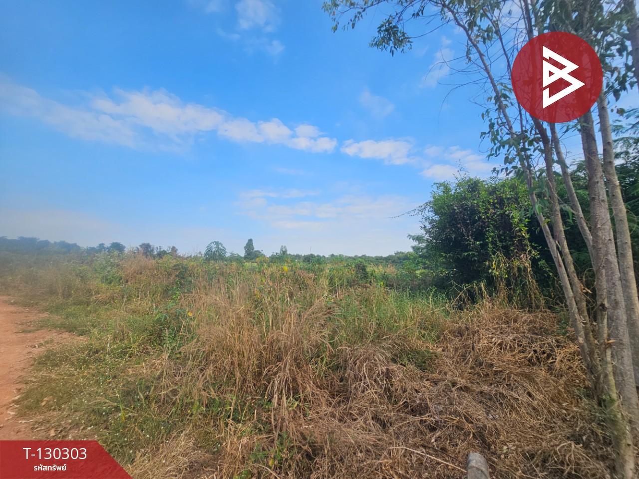 ขายที่ดิน เนื้อที่ 14 ไร่ 1 งาน 86 ตร.วา ขาณุวรลักษบุรี กำแพงเพชร 2