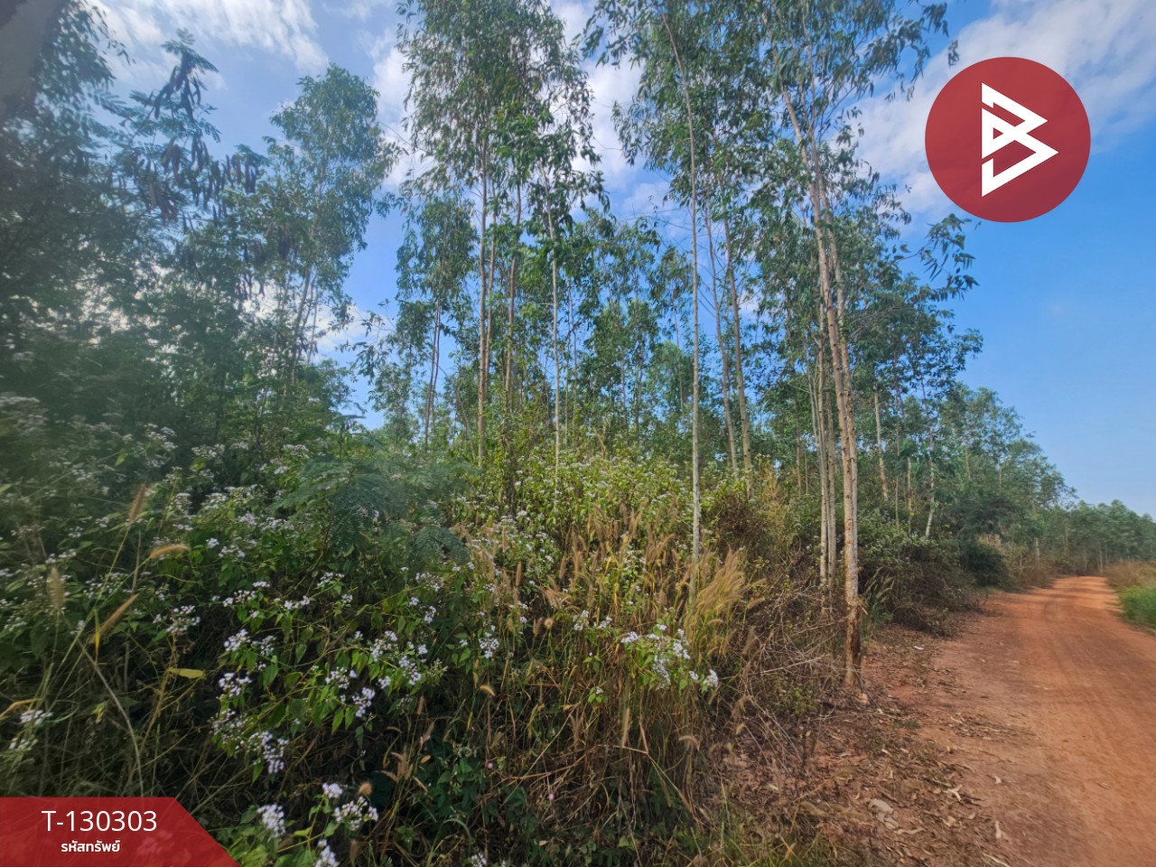 ขายที่ดิน เนื้อที่ 14 ไร่ 1 งาน 86 ตร.วา ขาณุวรลักษบุรี กำแพงเพชร 3