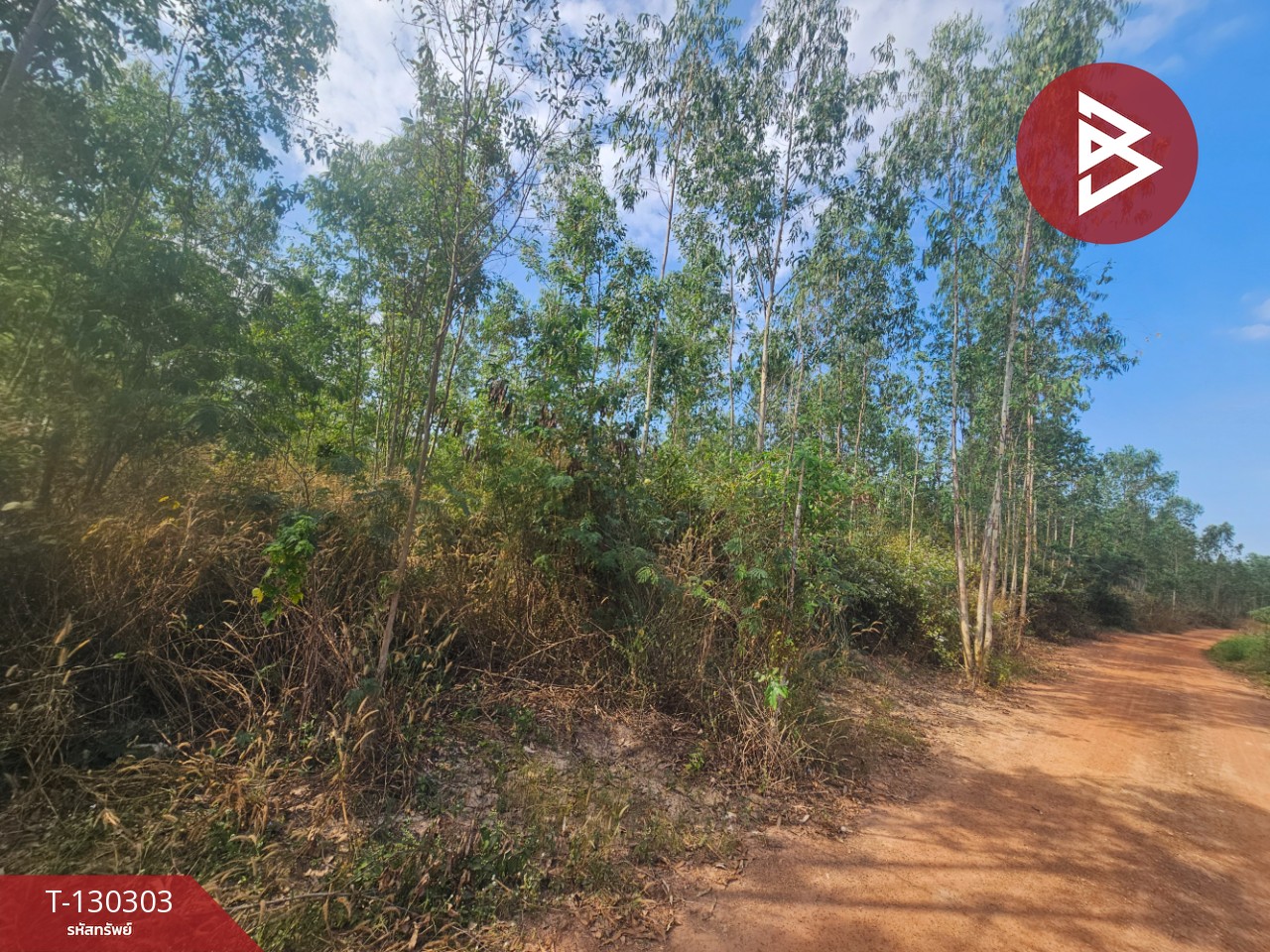 ขายที่ดิน เนื้อที่ 14 ไร่ 1 งาน 86 ตร.วา ขาณุวรลักษบุรี กำแพงเพชร 10