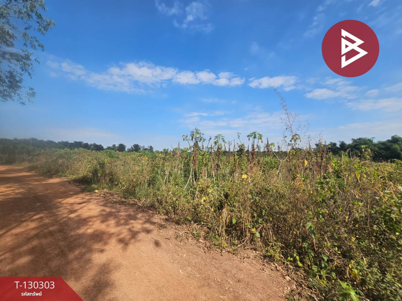 ขายที่ดิน เนื้อที่ 14 ไร่ 1 งาน 86 ตร.วา ขาณุวรลักษบุรี กำแพงเพชร 9