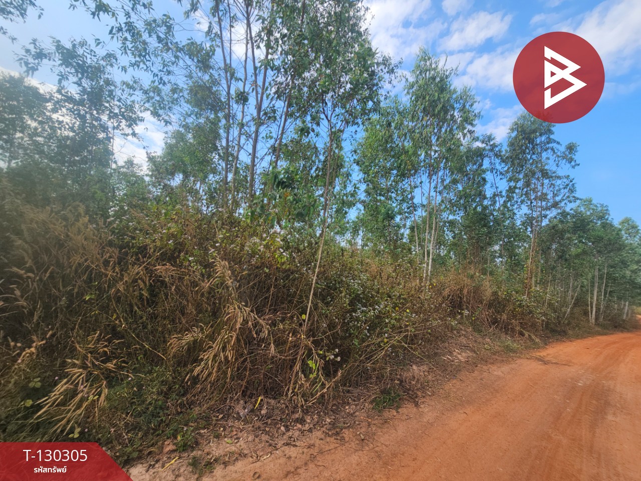 ขายที่ดิน เนื้อที่ 45 ไร่ 2 งาน 47 ตร.วา ขาณุวรลักษบุรี กำแพงเพชร 9