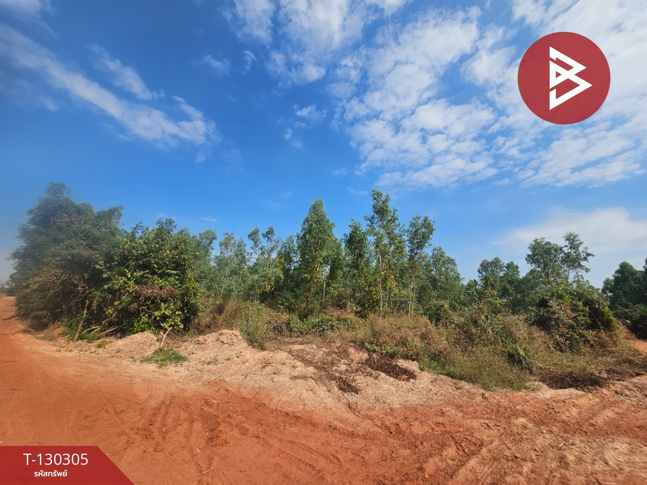 ขายที่ดิน เนื้อที่ 45 ไร่ 2 งาน 47 ตร.วา ขาณุวรลักษบุรี กำแพงเพชร 2