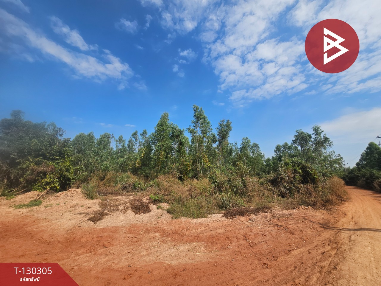 ขายที่ดิน เนื้อที่ 45 ไร่ 2 งาน 47 ตร.วา ขาณุวรลักษบุรี กำแพงเพชร 10