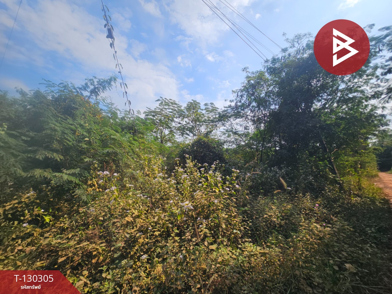 ขายที่ดิน เนื้อที่ 45 ไร่ 2 งาน 47 ตร.วา ขาณุวรลักษบุรี กำแพงเพชร 5