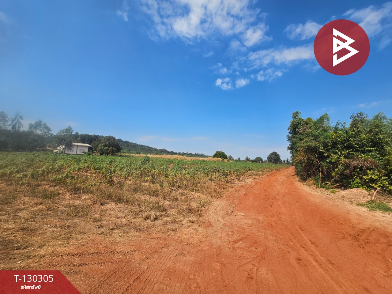 ขายที่ดิน เนื้อที่ 45 ไร่ 2 งาน 47 ตร.วา ขาณุวรลักษบุรี กำแพงเพชร 3