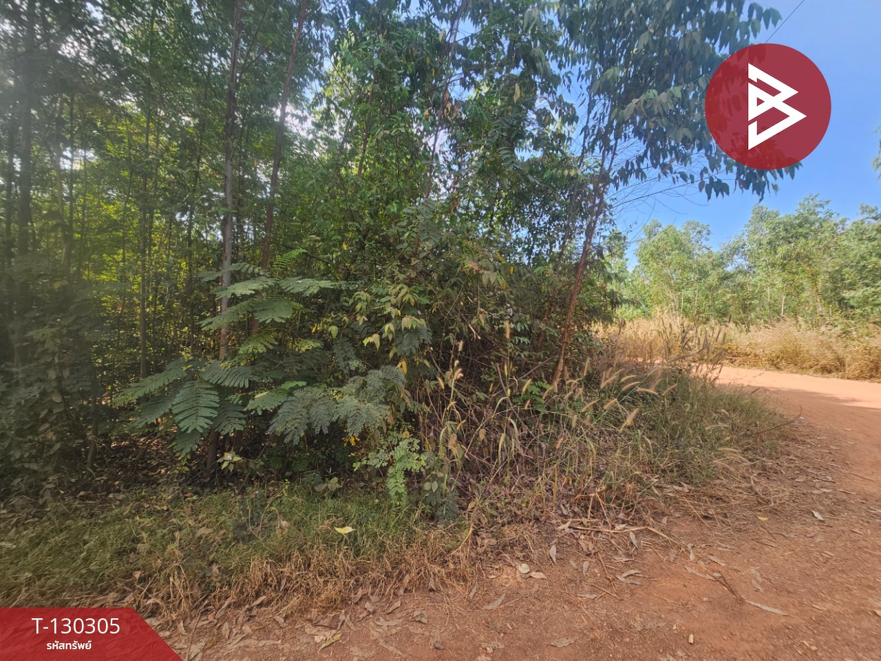 ขายที่ดิน เนื้อที่ 45 ไร่ 2 งาน 47 ตร.วา ขาณุวรลักษบุรี กำแพงเพชร 11